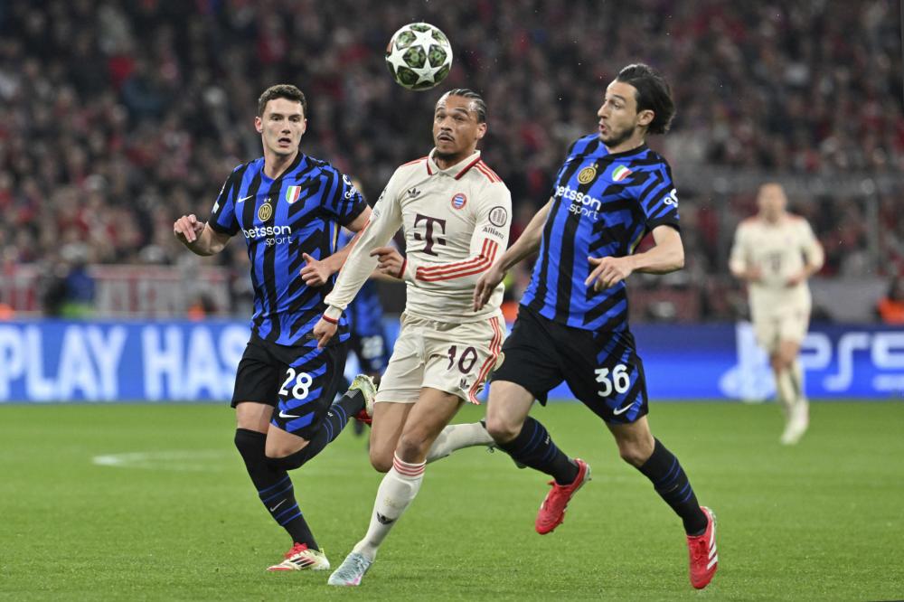 带领灰熊逆 带领灰熊逆